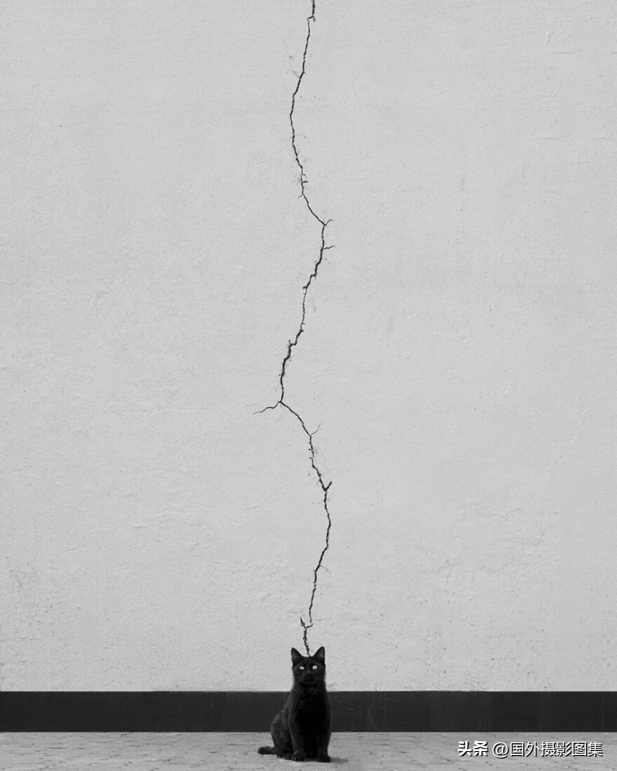 获奥林匹克摄影大奖的中国摄影师,摄影师大赛作品冠军