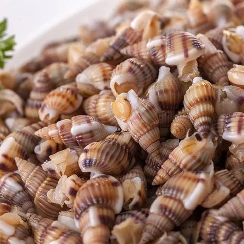 丹东东港旅游攻略自由行,丹东避暑游玩的地方推荐