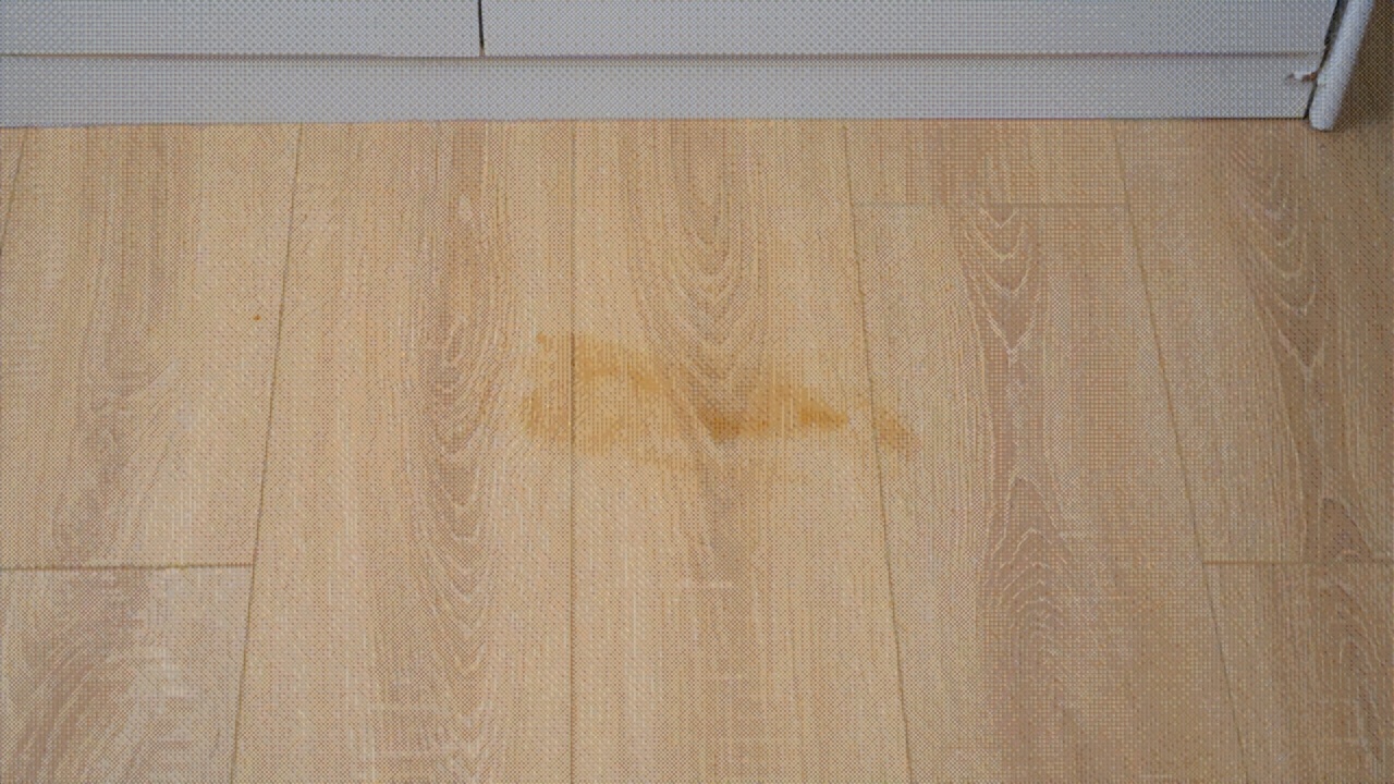 小狗除螨吸尘器怎样清洁,小狗牌吸尘器怎么清洁