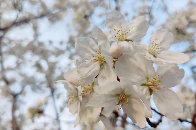 如何应对控制欲强的人,控制欲强的人最怕什么