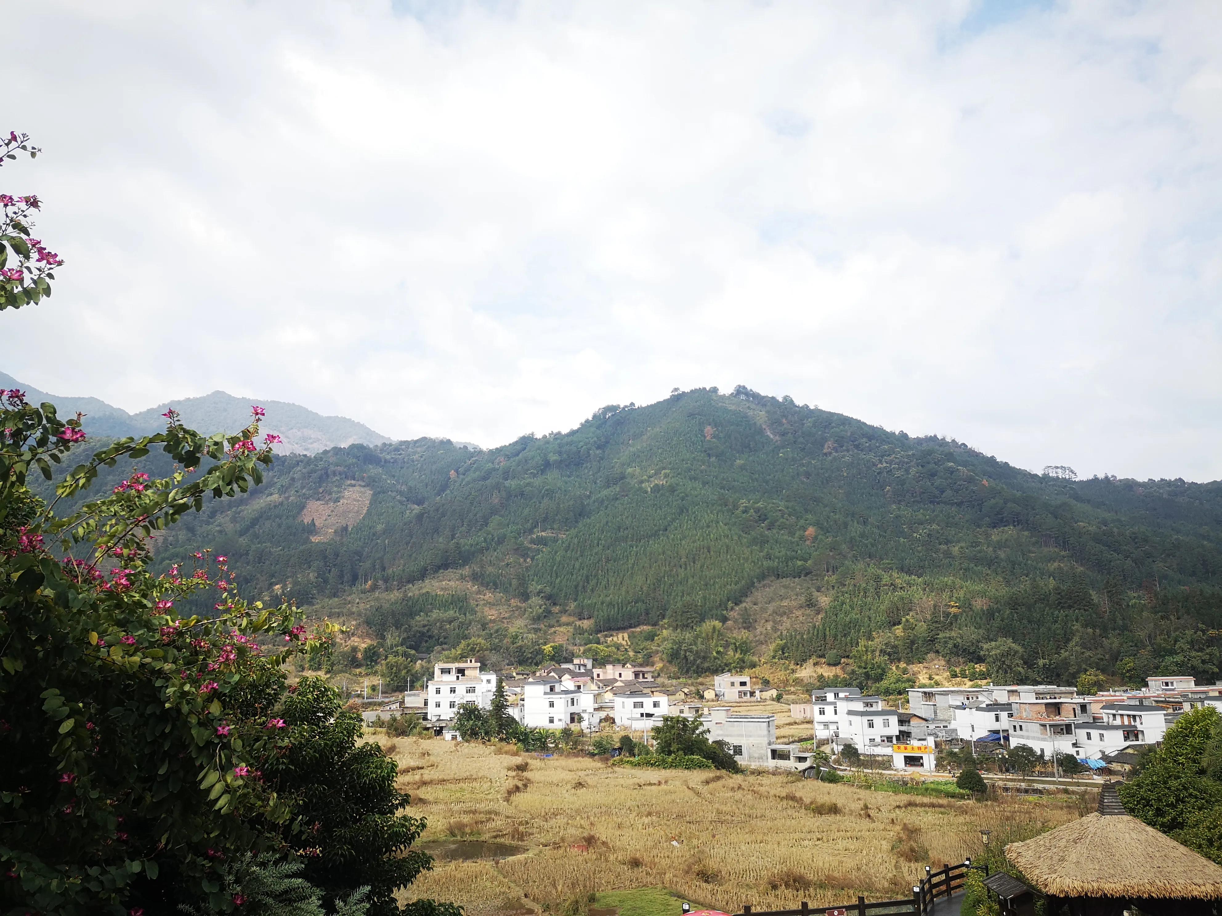 人生过半学会看淡开心,人生过半学会看淡什么歌