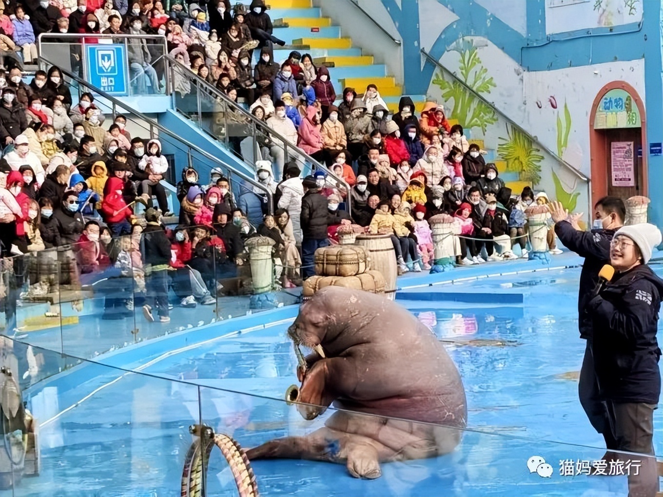 5天“趣”玩青岛，我的私藏遛娃路线