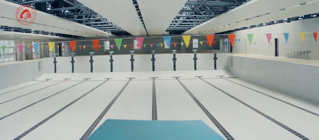 石室天府游泳馆,成都市高新区石室天府中学游泳馆