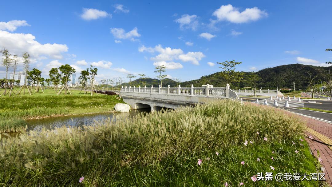 珠海春游赏花,珠海周边踏青景点