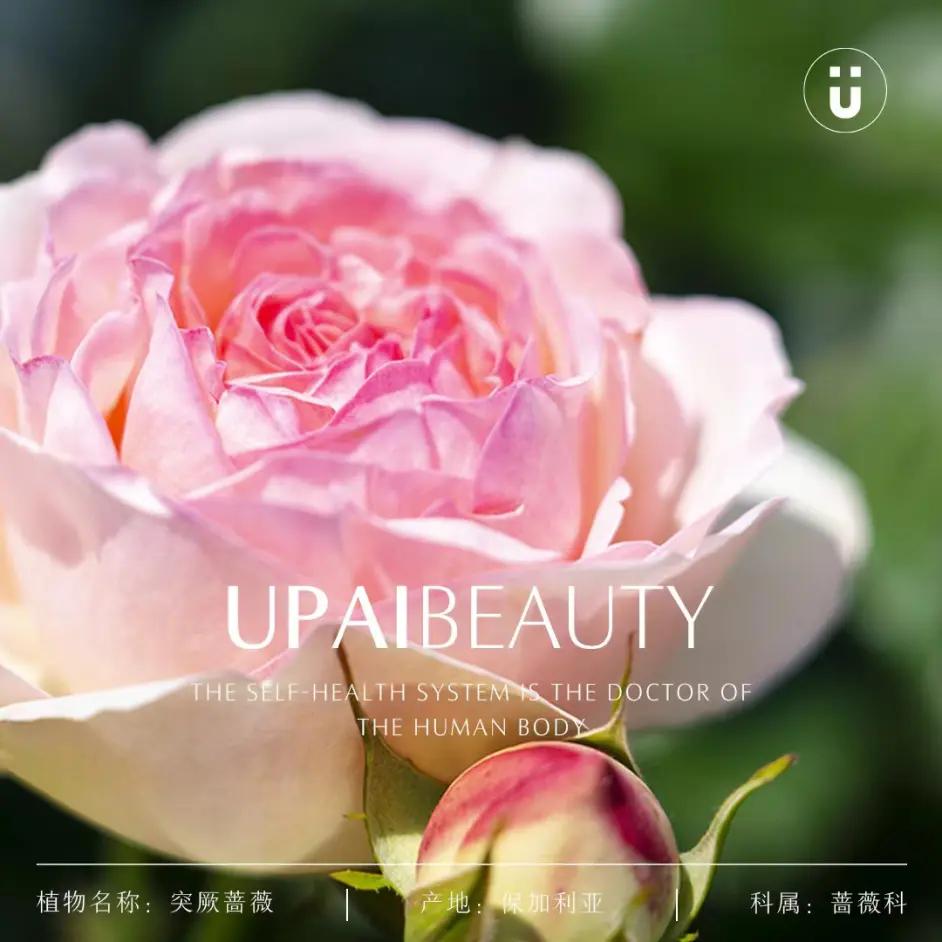 u牌润肤乳,u牌春季护肤