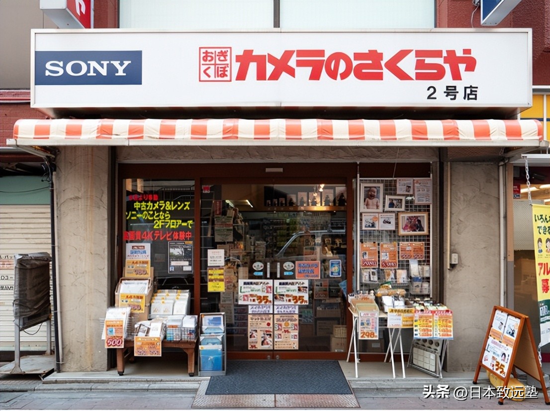 artfestival在哪一天,artfestival有什么活动