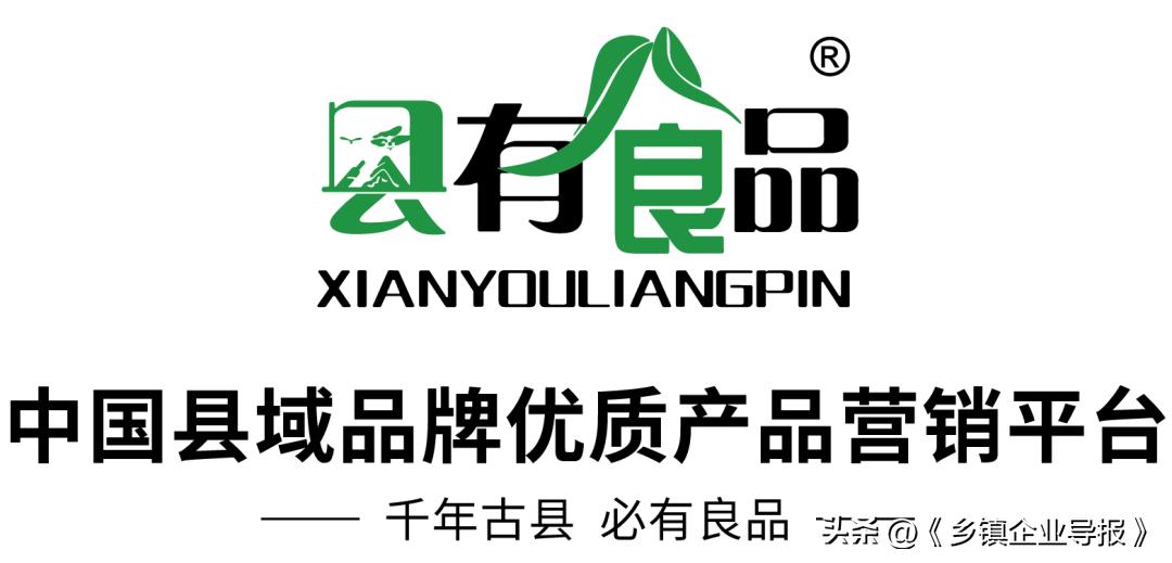 乡村振兴电商助农图片,乡村振兴助农计划项目商业模式