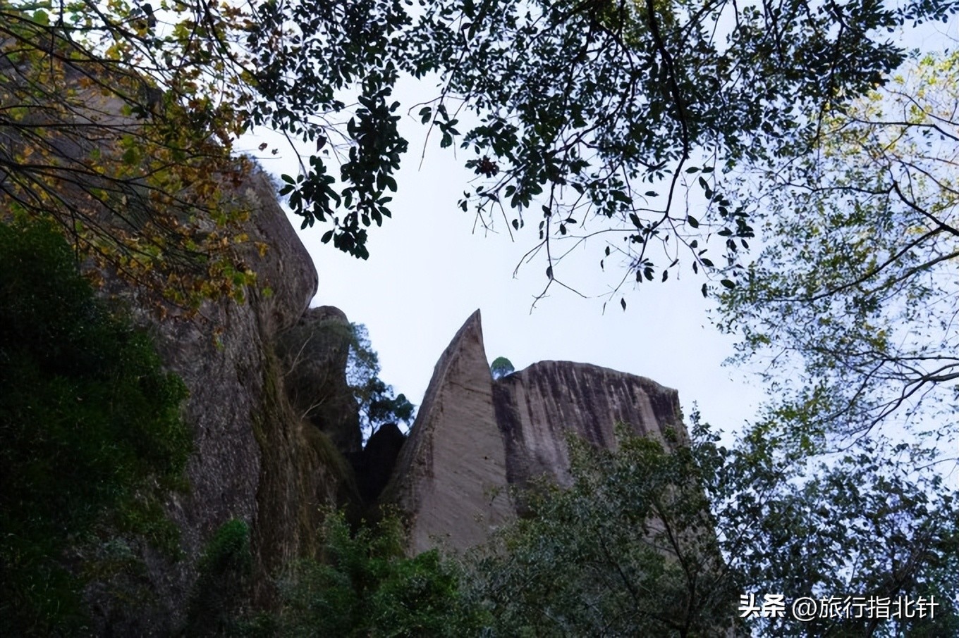 福建旅游攻略武夷山,福建武夷山旅游攻略一日游