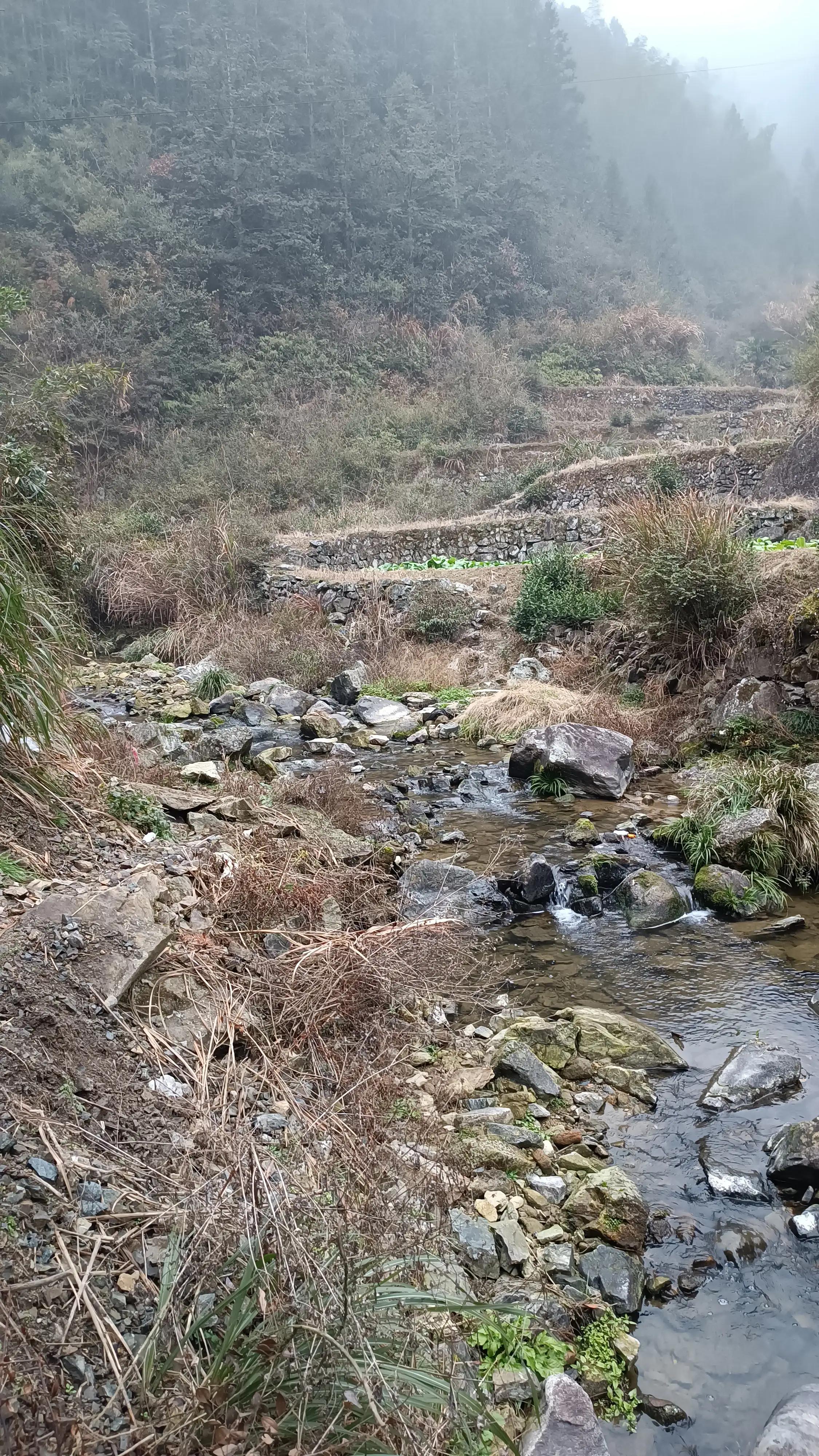 安徽黄山歙县韶坑村,歙县韶坑村民宿照片