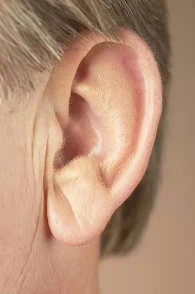 耳垂有褶皱是什么病的征兆,耳垂起疙瘩预兆