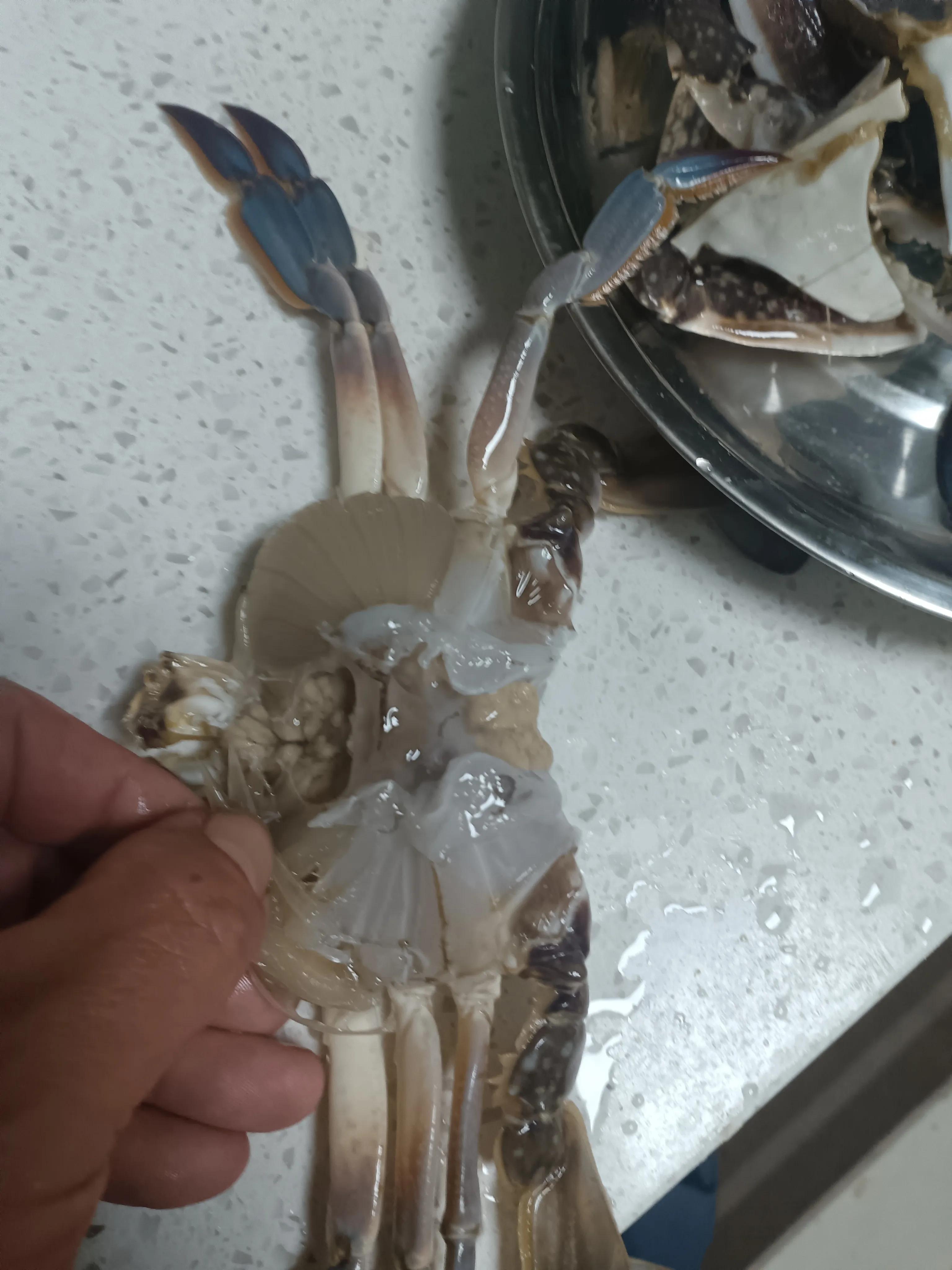 葱姜鲍鱼鸡翅螃蟹煲,葱姜炒螃蟹酒店做法