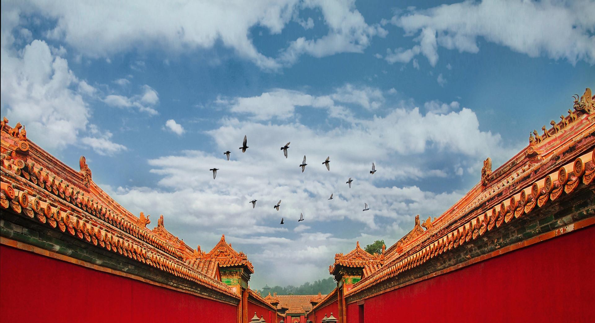 一份清华就业报告，六大明显变化趋势，说明了什么？