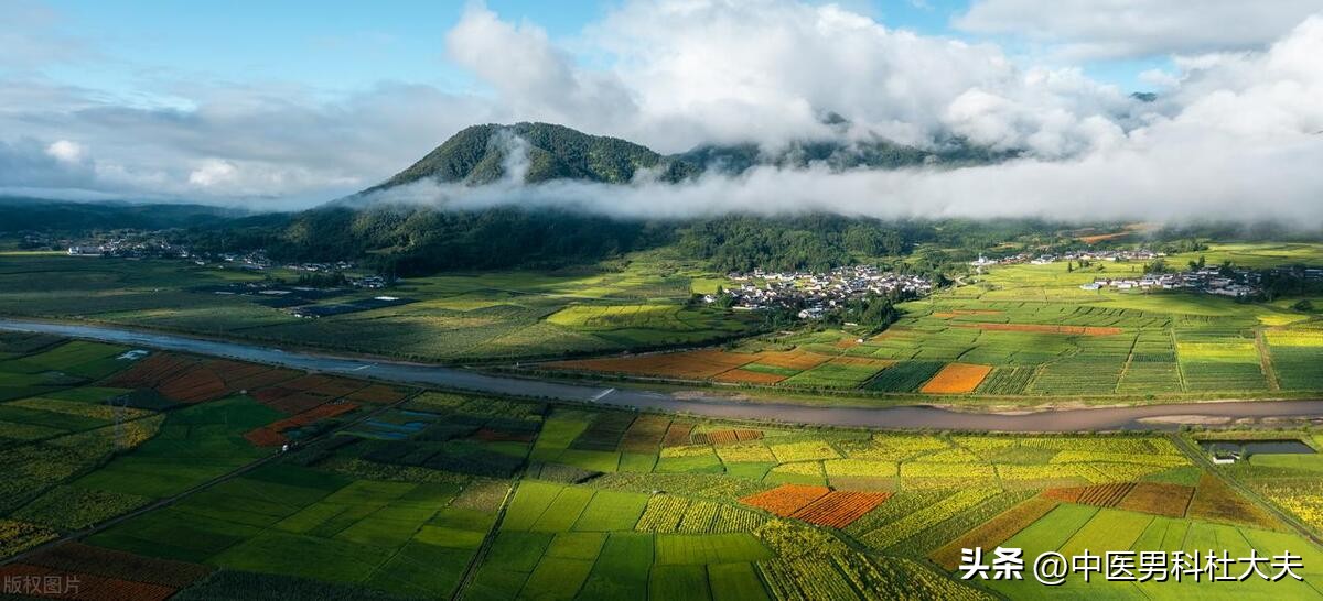 湿热下注引发前列腺炎怎么办,湿热下注引起前列腺炎如何根治