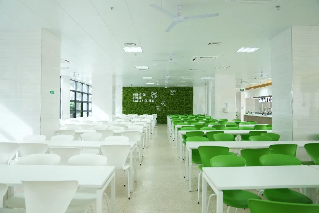 深圳双一流学校名单,深圳决定要建两所世界一流大学