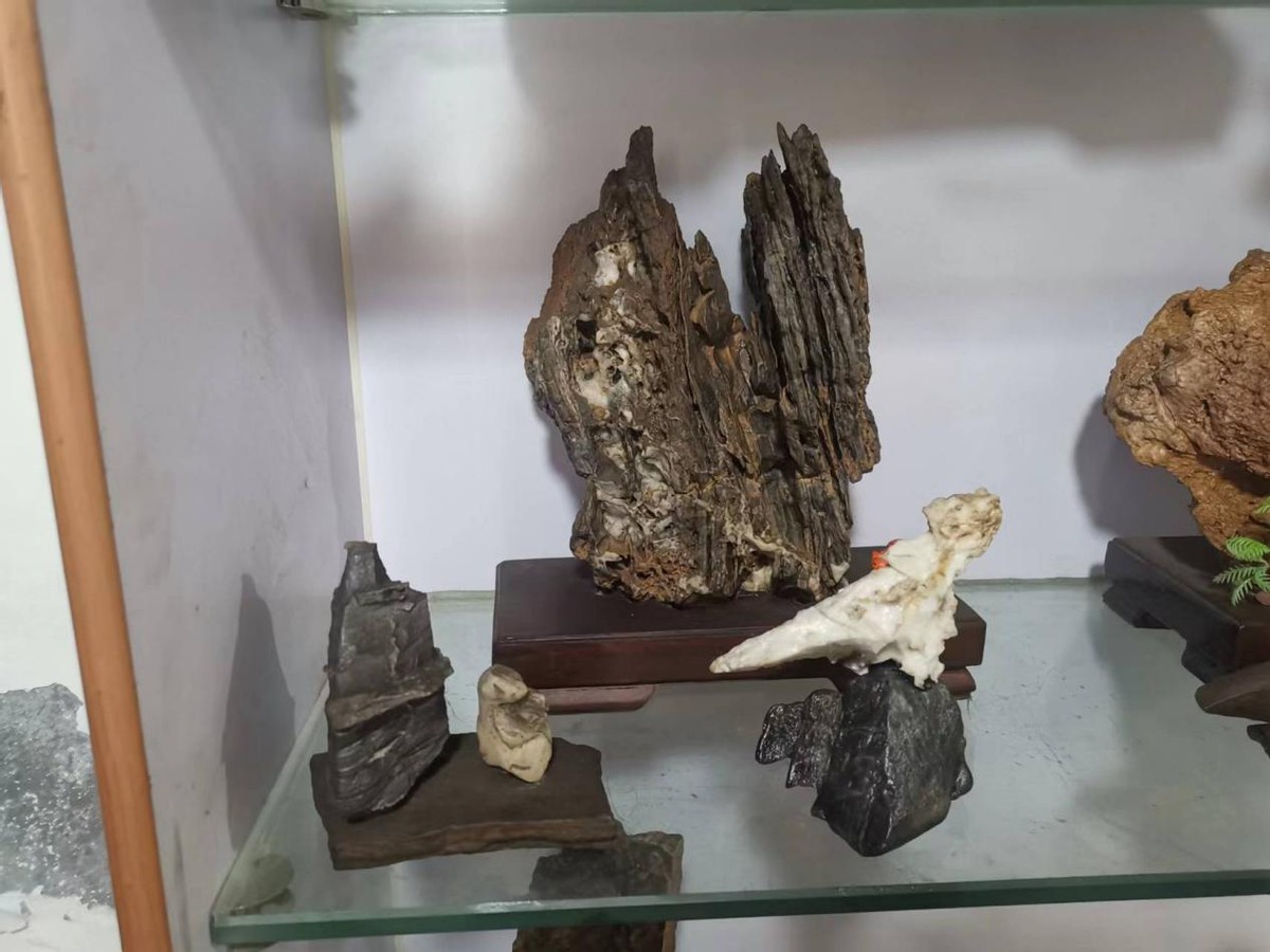 挑选奇石认真负责,观赏奇石交易市场哪里最好