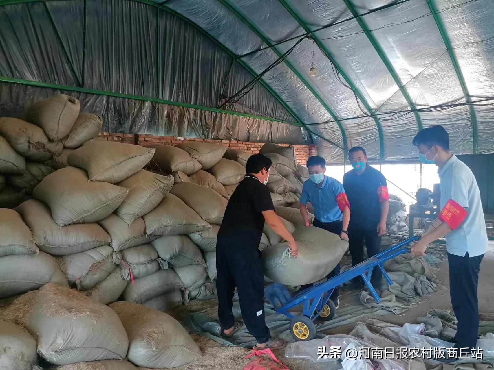 抗疫一线炼初心——记宁陵县卫健委派驻孔集乡桑庄村第一书记路杰