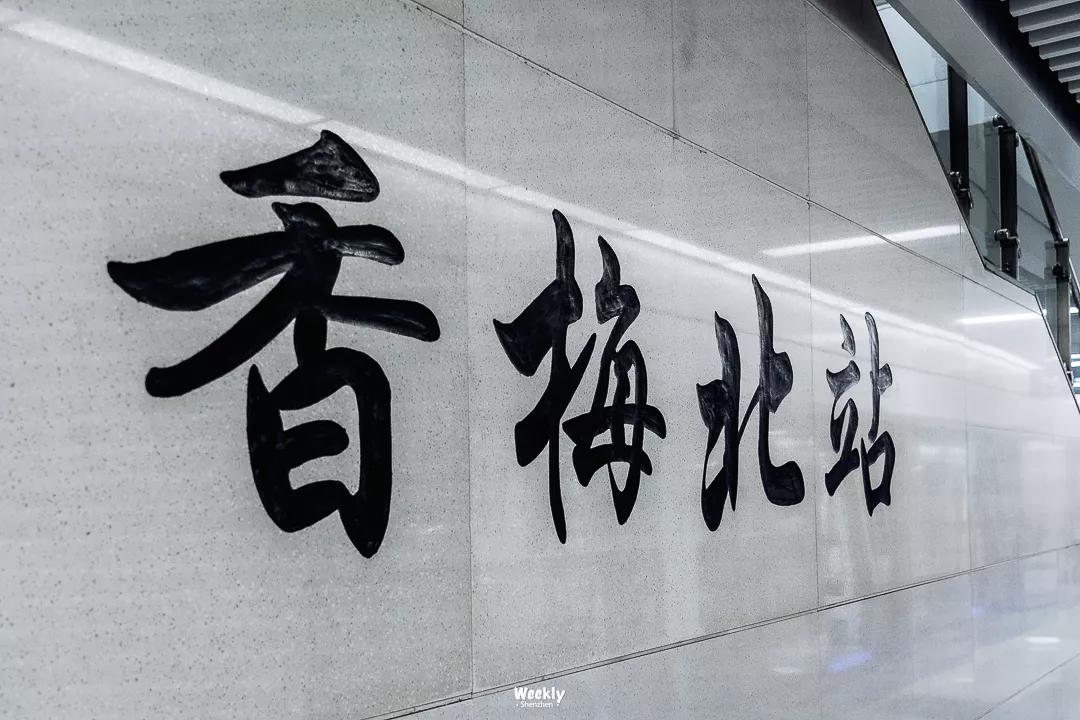 真羡慕那些住高档小区的人,真羡慕住在海边的人