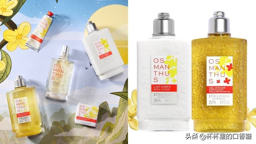 赵露思种草香水,赵露思喜欢哪款香水