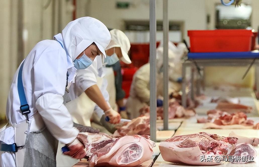 农村养殖种植与三农创业致富项目,农村怎么创业致富的好项目