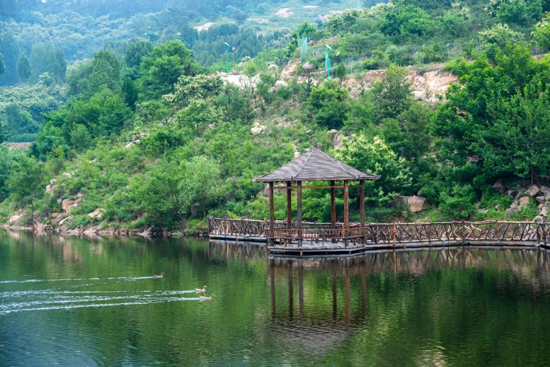 济南旅游大学生优惠政策,济南各景区最新优惠政策