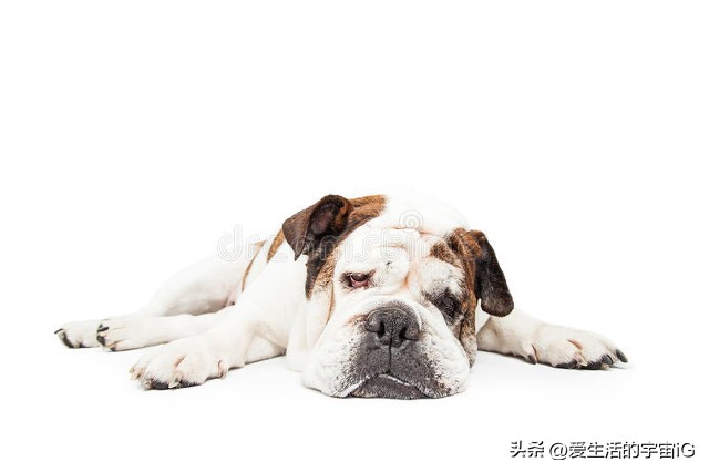 “躺平：时下最流行的‘运动’？”