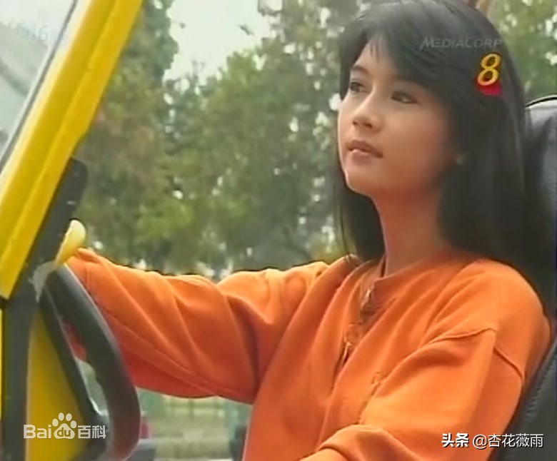 这些新加坡电视剧你都看过了吗,推荐新加坡经典老电视剧