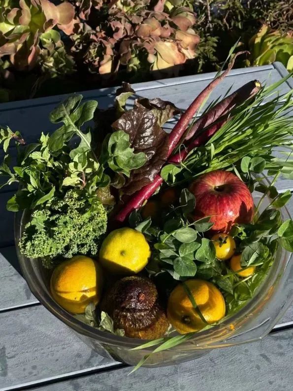 食物故事纪录片,食物故事大全完整版