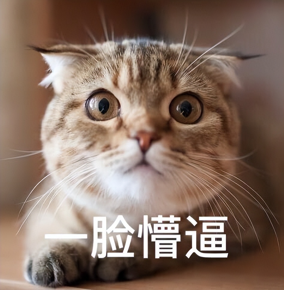 环保组织骗局,环保组织的骗局