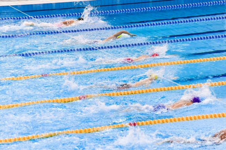 一键解锁标准泳姿,上海市普陀区青少年游泳学校招生啦!