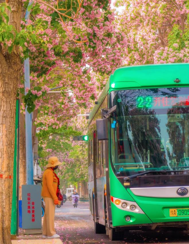 从郑州旅游回来才知道的血泪教训,去郑州回来后谈谈我对郑州的印象