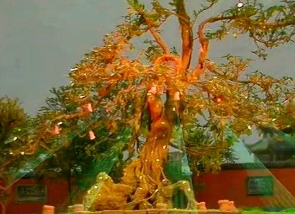 西天取经时，孙悟空多少岁？师徒四人中，最老的早已寿数过万