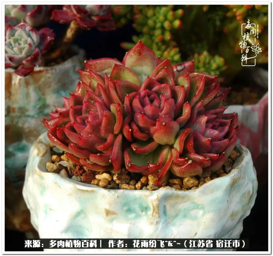 回味童年无忧无虑的快乐时光,童年最快乐的时光