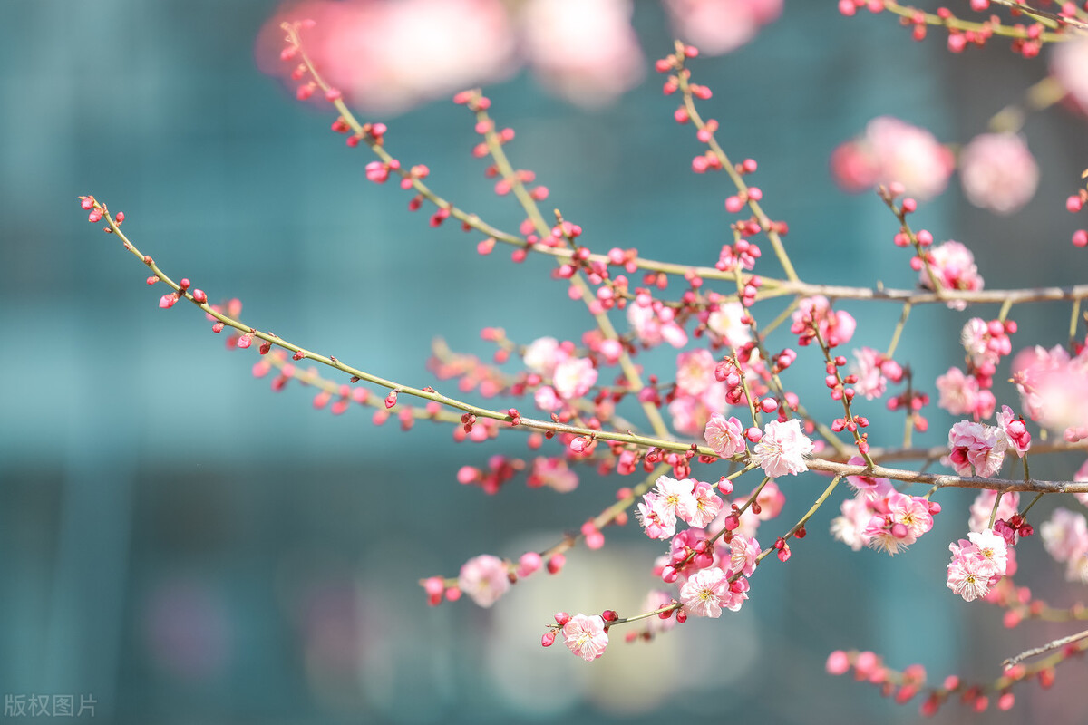 北京工商大学院校介绍,北京工商大学是个什么档次的学校