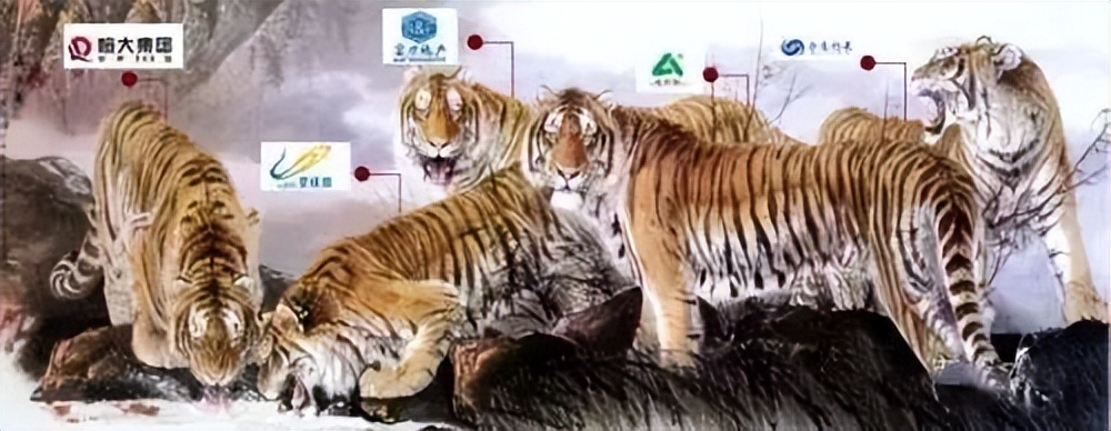 重庆大学城新盘最新消息,重庆大学城新开盘