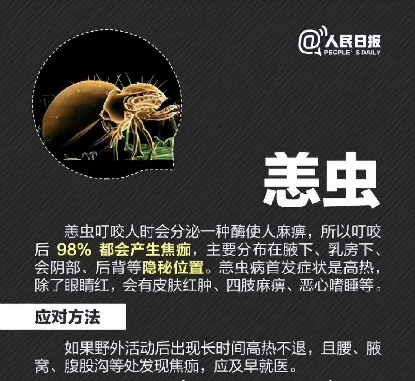 “我的脸被它毁容了…”毒液堪比硫酸！西安也有！