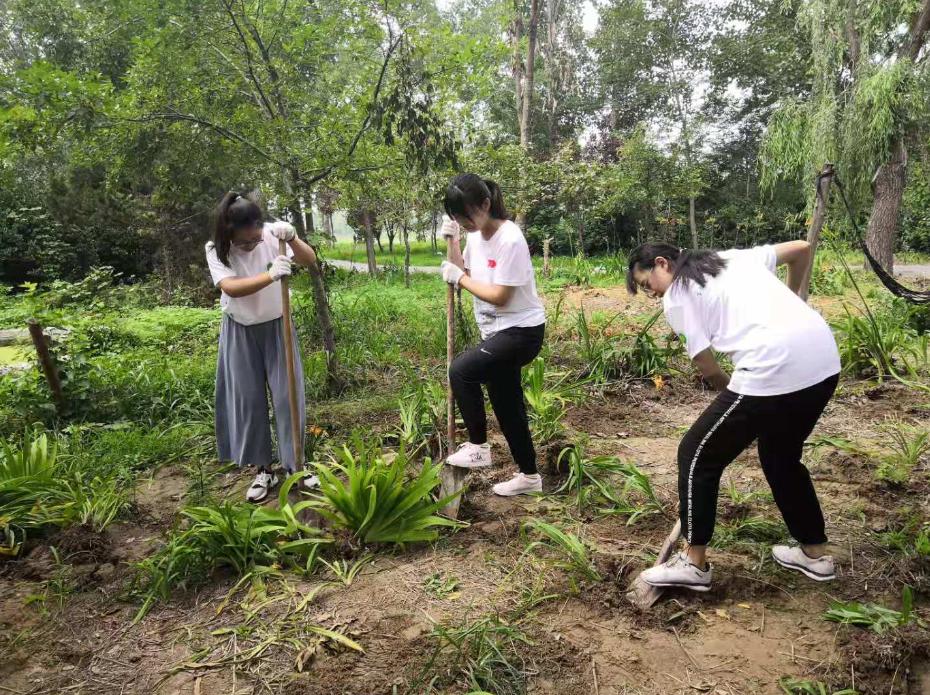 如何加强高校生态文明教育,当代大学生树立正确生态文明观