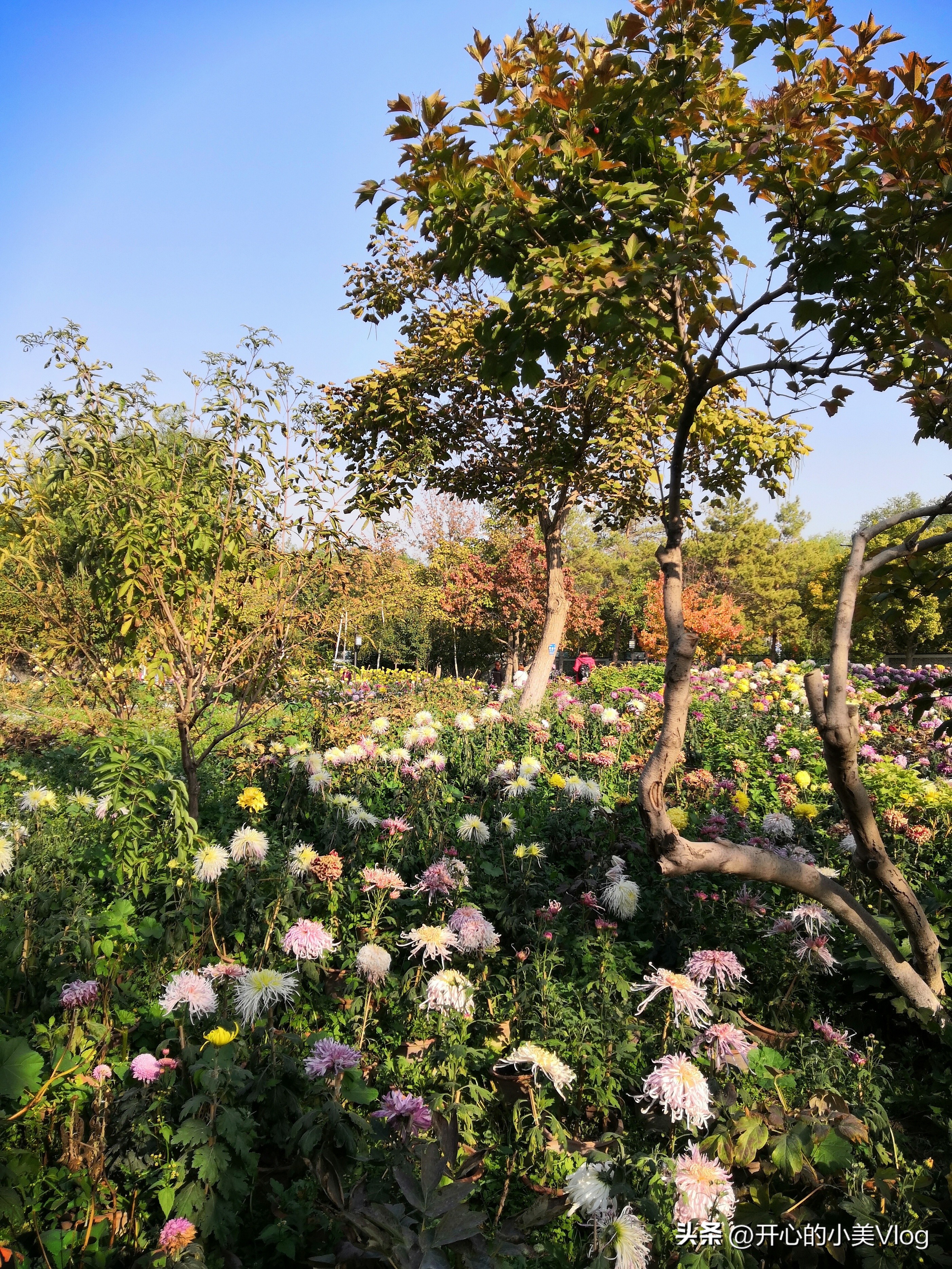 如果你有一个眼睛看不见的父亲