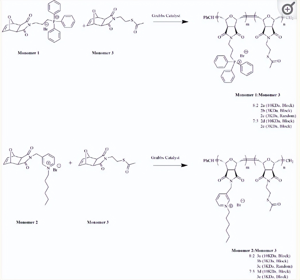 使用通过开环复分解（romp）途径衍生的抗菌聚合物检测细菌