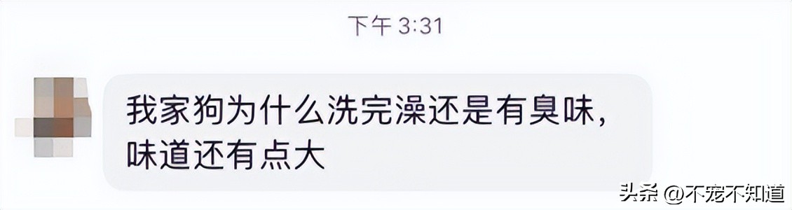 狗狗刚洗完澡还是有体味怎么办,狗狗洗完澡也很臭怎么回事