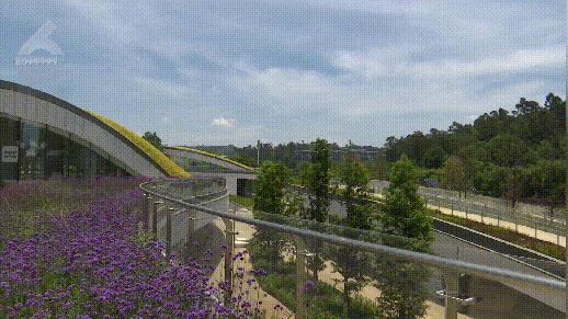 植被覆盖率中国,昆明植被覆盖率有多少