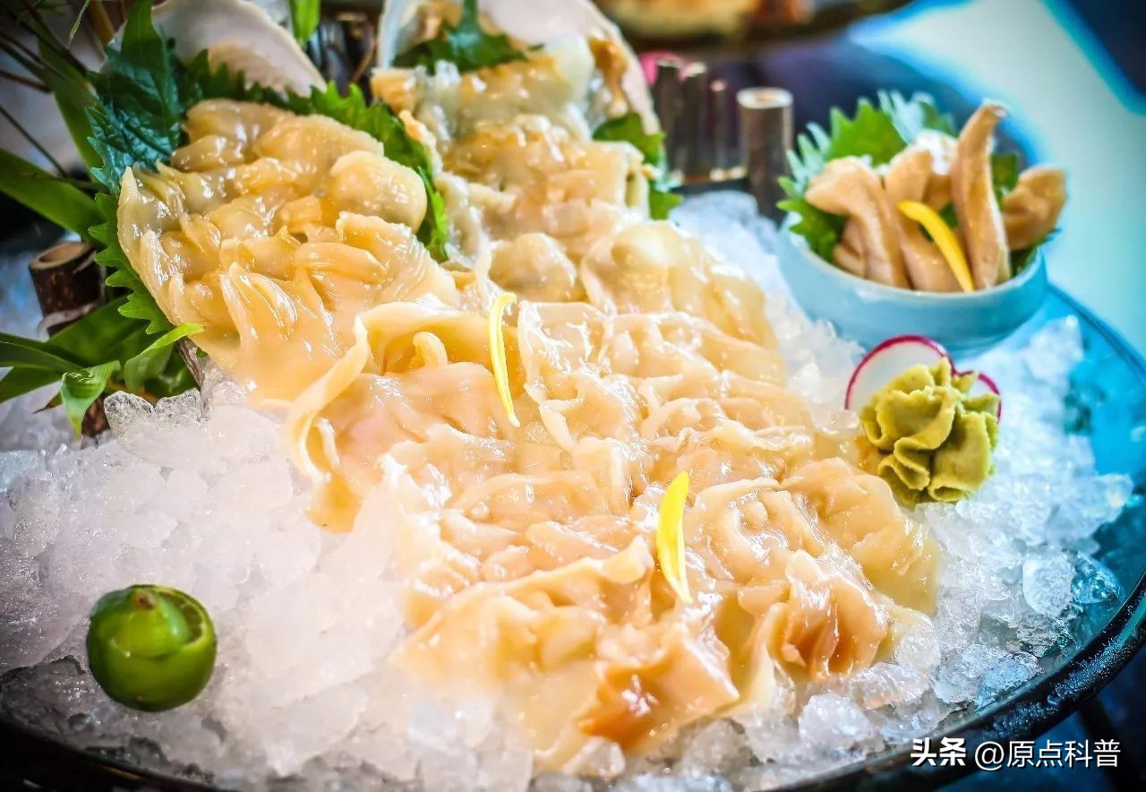 世界上最贵的海鲜十大排名,世界十大名贵海鲜