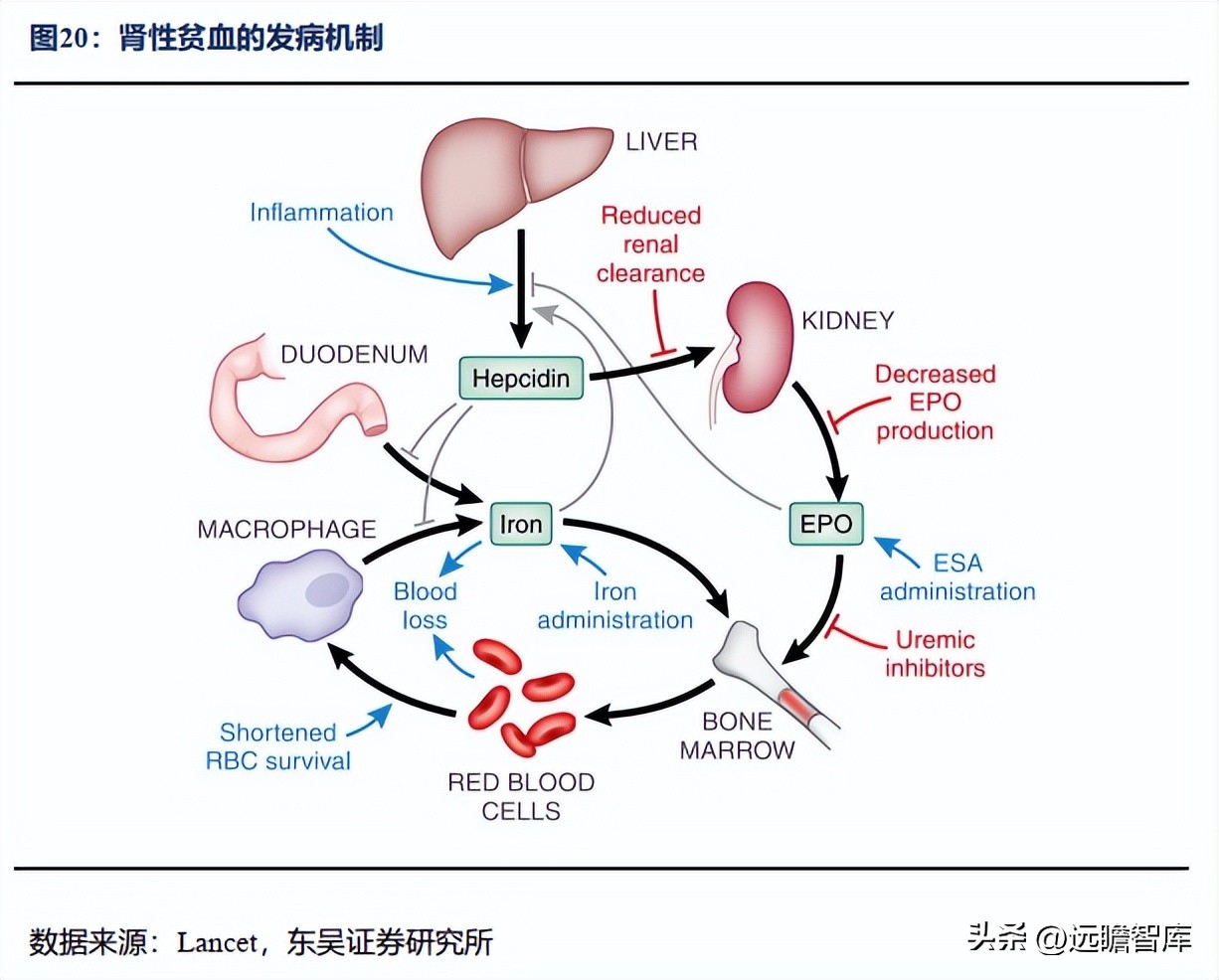 信立泰的核心竞争力,信立泰创新能力