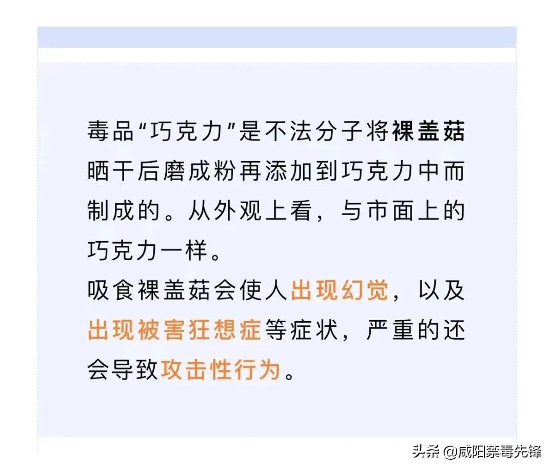 减肥药被海关查获,查获有毒减肥药