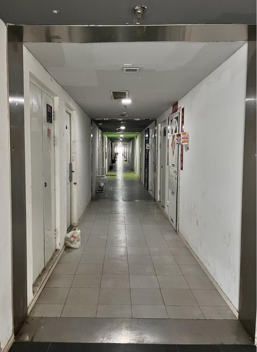 北漂神盘,北漂神片