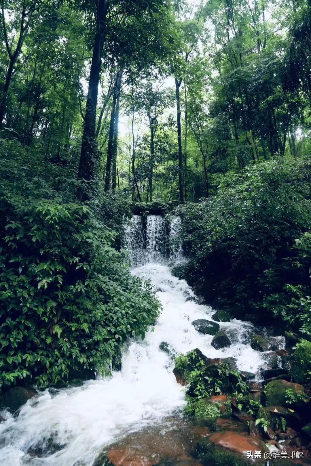 天台山避暑推荐,五一去天台山凉快吗