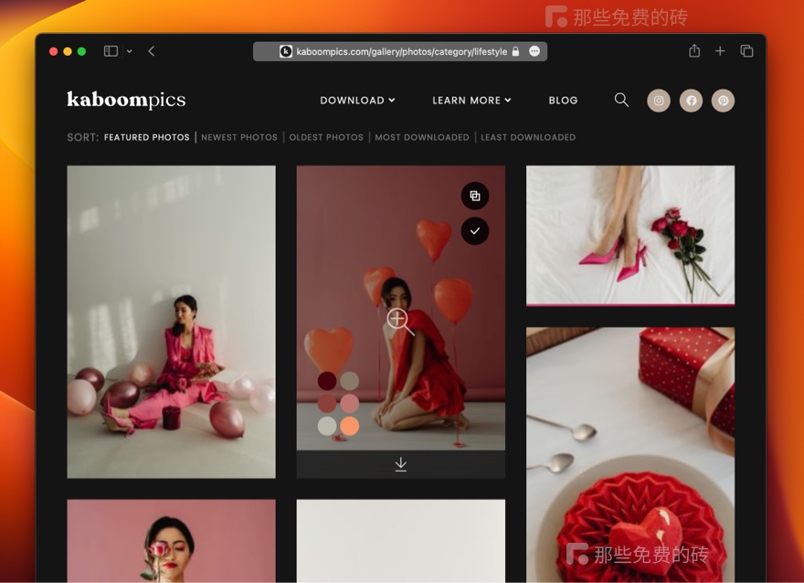 图集推荐波兰油画图库,波兰时尚写真集