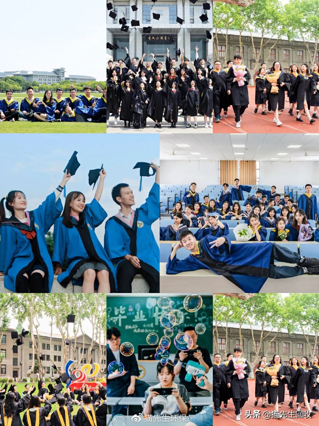 喵～喵～喵～有一只懂环保的猫进校园啦