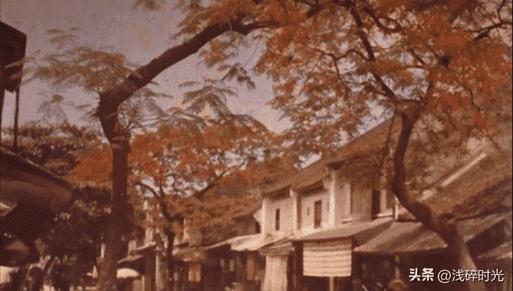 日本暴行老照片,老照片揭露日本暴行