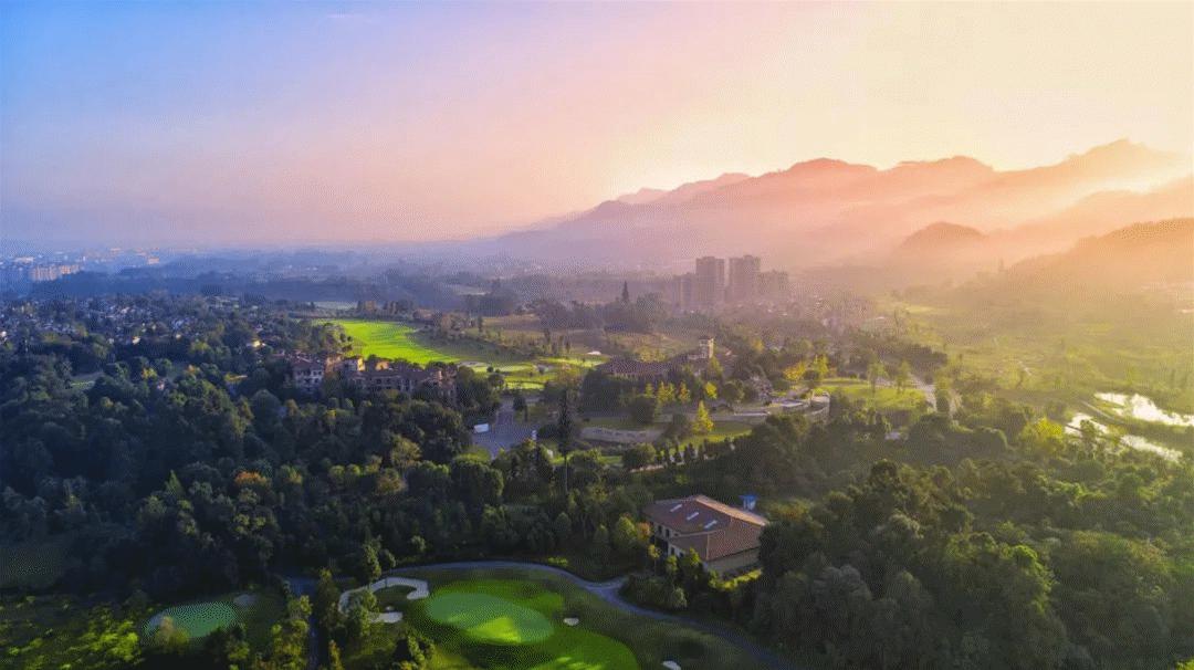 蒲江绿色生态屏障,蒲江县森林资源保护