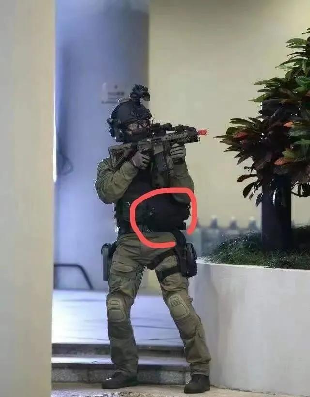 虎年说虎科普视频,虎年说虎运用了哪些说明方法